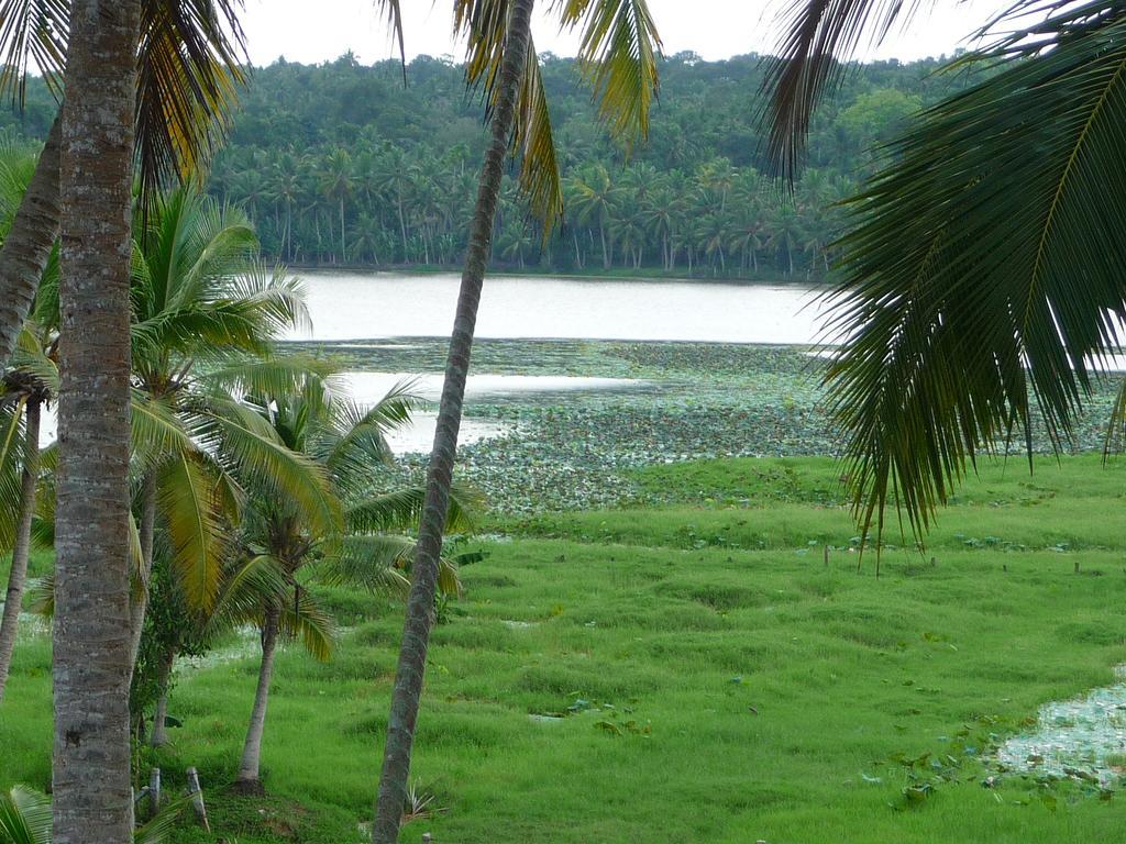 Ganesh Ayurveda Holiday Home Bed And Breakfast Kovalam Esterno foto
